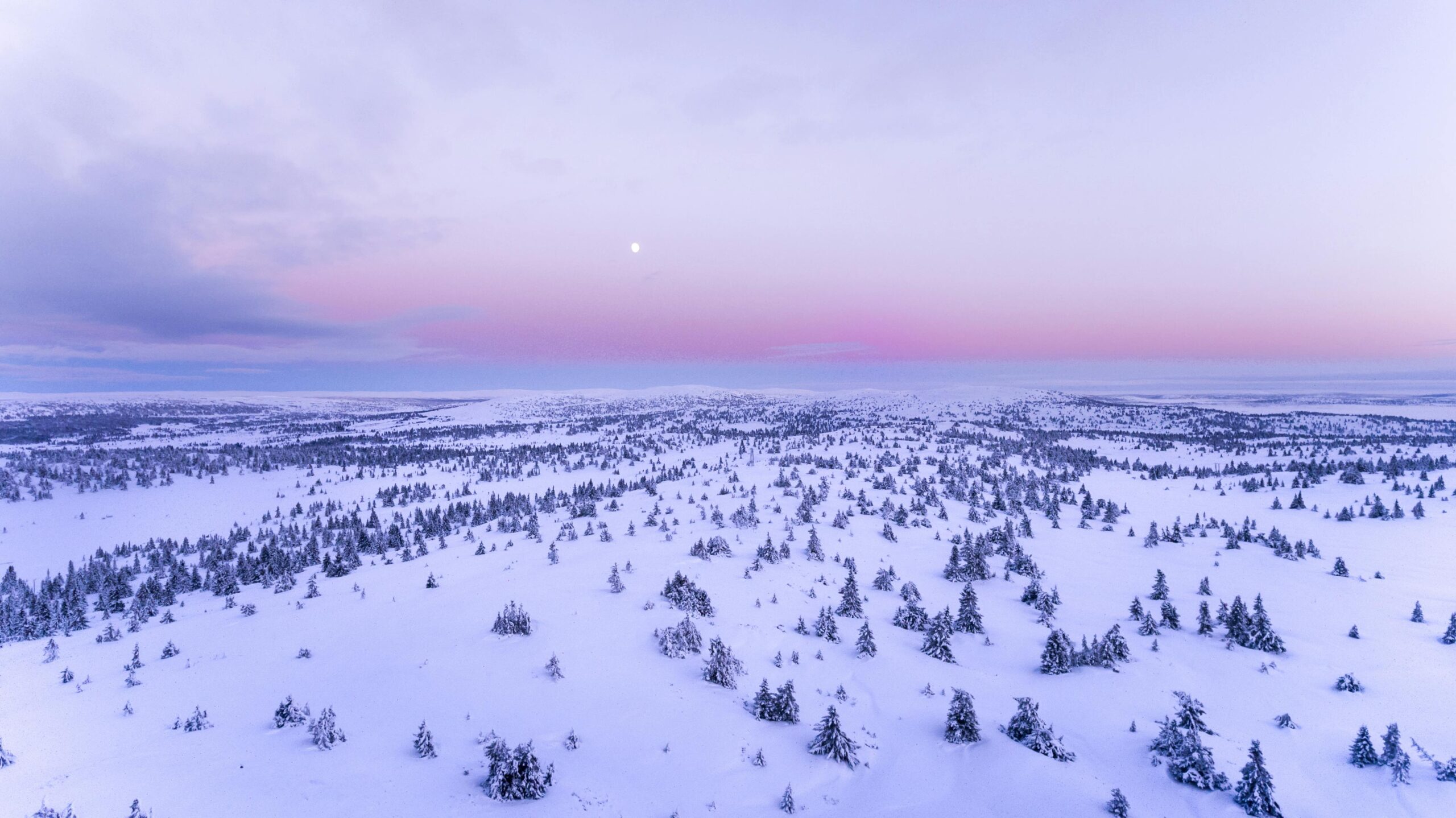 Schneebedecktes Feld